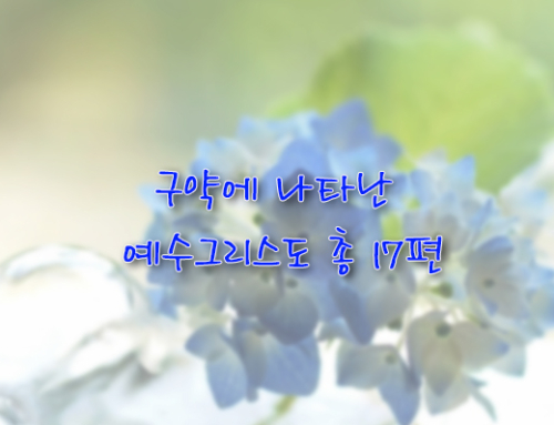 구약에 나타난 예수그리스도 강해 – 총 17편