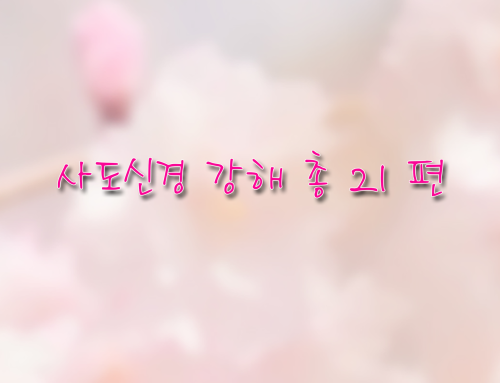 사도신경 강해 – 총 21편